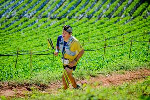 BIB: 
                            <button type="button" onclick="openModal(19163576)" class="btn btn-primary btn-sm float-right btn-popup" data-toggle="modal" data-target=".modal-high-quality">
                        <i class="fas fa-shopping-cart"></i> Add to Cart
                    </button>
                                            <button type="button" onclick="isThisMe(19163576, true)" class="btn btn-success btn-sm float-right btn-popup btn-isme hidden" data-toggle="tooltip" data-placement="bottom" title="นี่คือรูปของคุณใช่ไหม คลิกที่นี่เพื่อเอาเข้าอัลบั้ม">
                        <i class="fas fa-plus"></i> Add to album
                    </button>
                    <button type="button" onclick="isThisMe(19163576, false)" class="btn btn-warning btn-sm float-right btn-popup btn-isnotme hidden">
                        <i class="fas fa-ban"></i> Remove from album
                    </button>